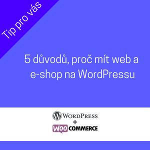 5 důvodů, proč mít vlastní web na WordPressu 5 důvodů, proč mít vlastní web na WordPressu